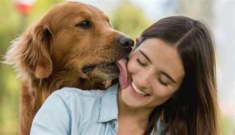 perros cojiendo con mujeres|Mujer folla por toda la habitación con perro grande